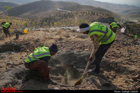 آیین آغاز عملیات اجرایی درختکاری و شبکه آبیاری در عرصه های کمربند جنوبی مشهد