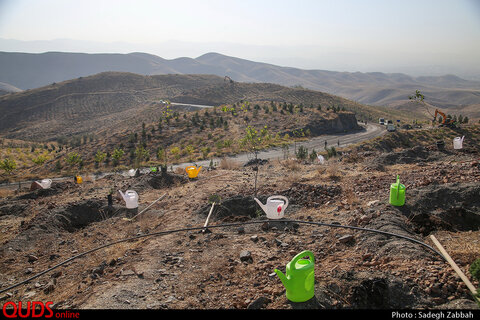آیین آغاز عملیات اجرایی درختکاری و شبکه آبیاری در عرصه های کمربند جنوبی مشهد