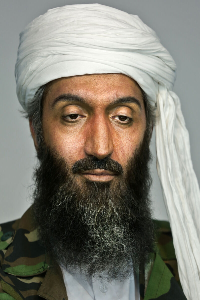 امیرمهدی ژوله، بن لادن شد