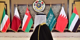 نشست کشورهای عضو شورای همکاری خلیج فارس