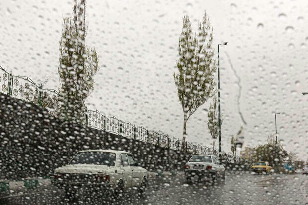 بوشهر بارانی می شود