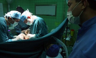 بیش از ۵۳۰۰ عمل موفق پیوند اعضا در دانشگاه علوم پزشکی مشهد