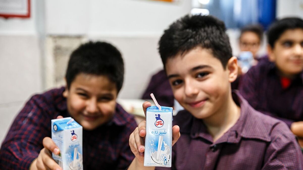 رئیس دبیرخانه شورای عالی سلامت و امنیت غذایی: توزیع شیر در مدارس بودجه مستقل می‌خواهد