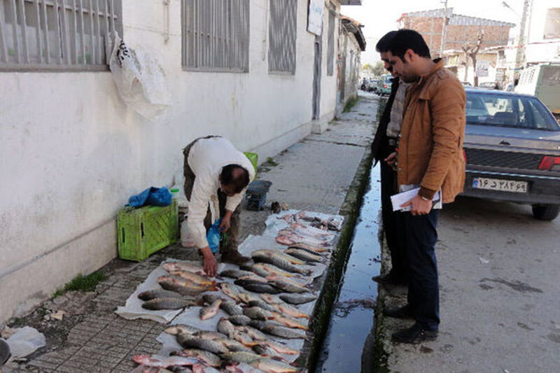 مردم از دستفروش‌ها ماهی نخرند