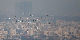 هوای تهران برای دهمین روز پیاپی آلوده است/ بهبود کیفیت هوا طی امروز