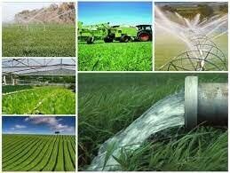  ۱۴۲ پروژه بخش کشاورزی در استان یزد به بهره برداری رسید 