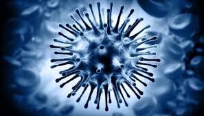 ویروس جدیدی از سویه‌های کرونا یا آنفلوآنزا گزارش نشده است

