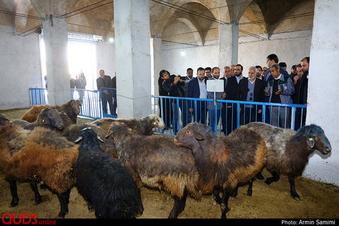 افتتاح مجتمع پشتیبان دام سبک آستان قدس رضوی