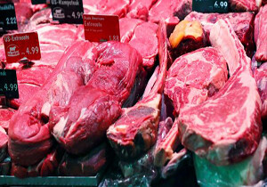 رسوایی گوشت‌های آلوده در آلمان و آغاز تحقیقات درباره مرگ ۲۵ نفر