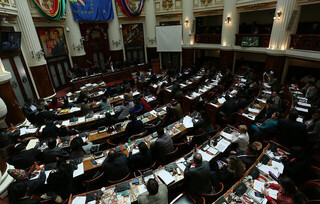تشکیل جلسه سنای بولیوی برای برگزاری انتخابات جدید