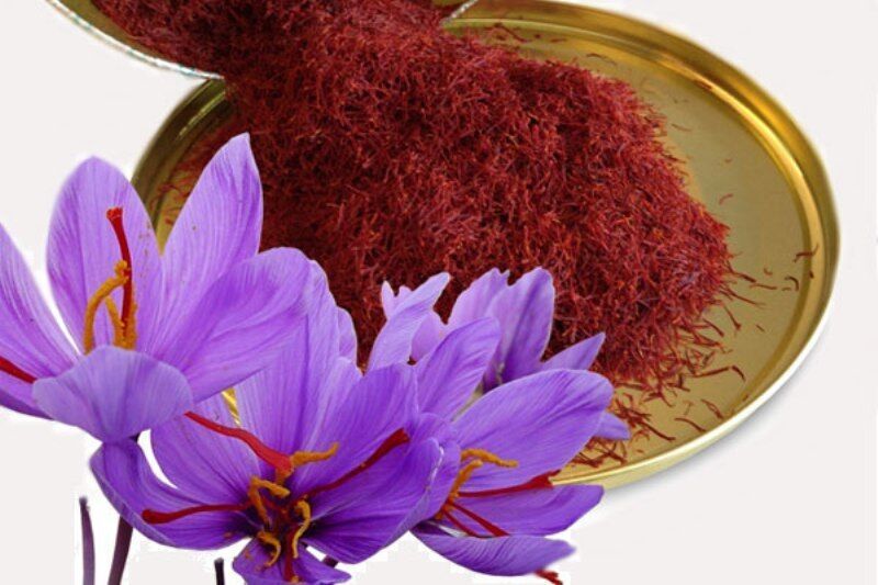 ۲۵ تن زعفران خشک در تایباد تولید شد