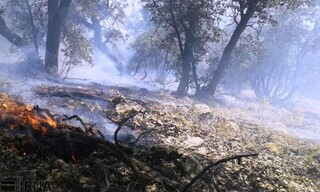 عامل انسانی دلیل اصلی آتش‌سوزی جنگل گلستان