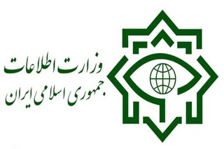 وزارت اطلاعات: شبکه اخلال‌گر بازار ارز شناسایی و منهدم شد
