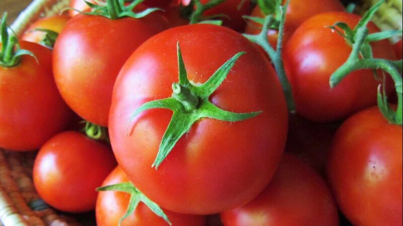 عرضه رب گوجه‌فرنگی تولیدی شرکت فرآورده‌های غذایی رضوی در سراسر کشور