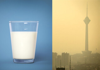 شیر و آلودگی هوا