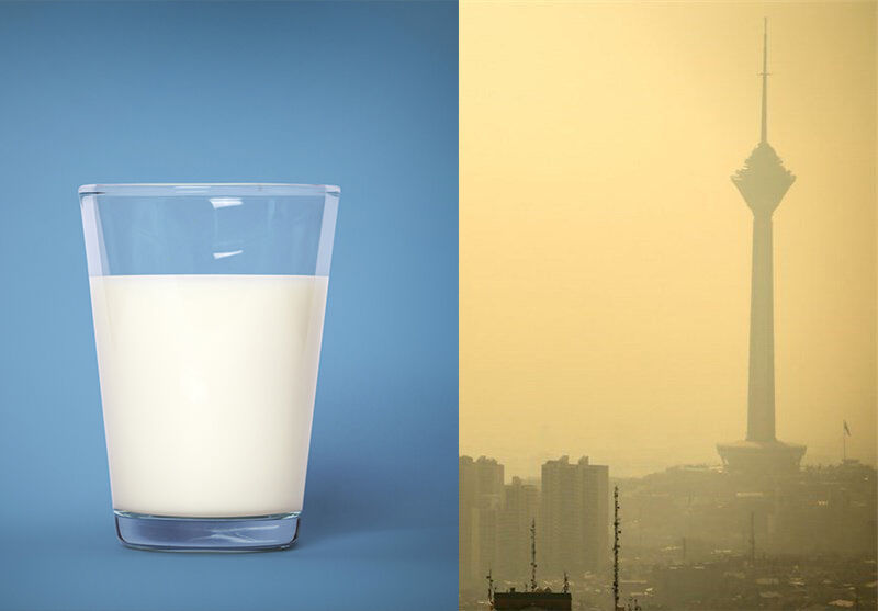 خوردن شیر باعث کاهش اثرات آلودگی هوا می‌شود؟/فیلم