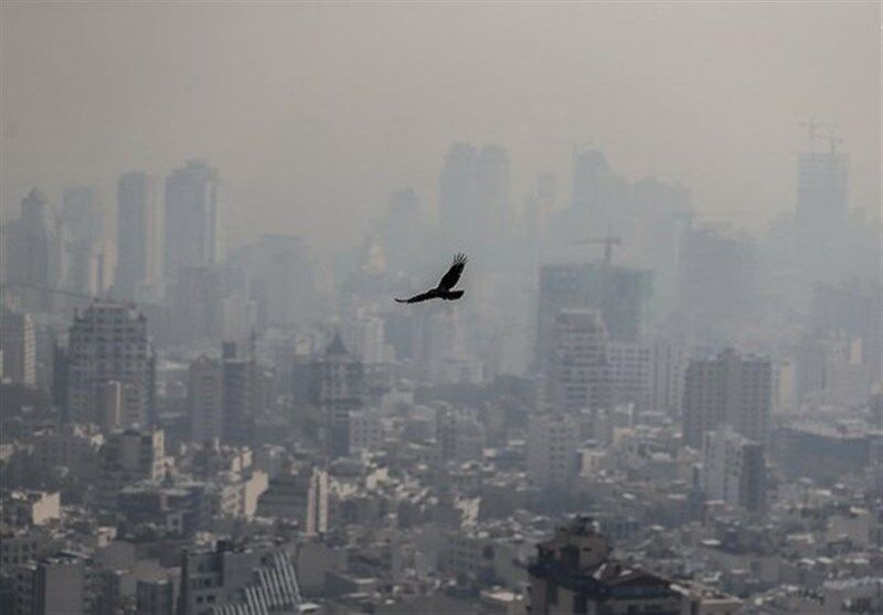 آلودگی هوا پرندگان را از تهران کوچ داد