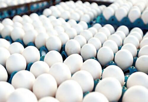 جولان تخم مرغ های بی هویت در بازار

