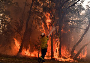 آتش در استرالیا همچنان زبانه می‌کشد
