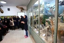 بازدید بیش از ۹۰۰ هزار نفر از موزه ها و اماکن فرهنگی - تاریخی خراسان رضوی