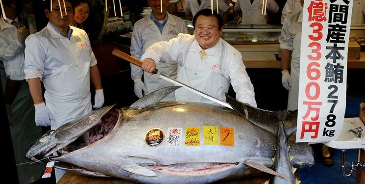 رستوران ژاپنی 23 میلیارد تومان برای یک ماهی تن باله آبی پول داد
