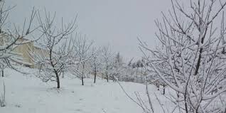 بارش نخستین برف زمستانی استان یزد را سفید پوش کرد 