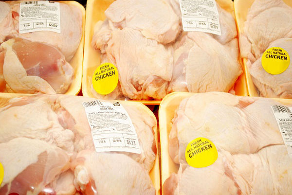افت شدید قیمت مرغ بخاطر عرضه بیش از توان و ظرفیت بازار است