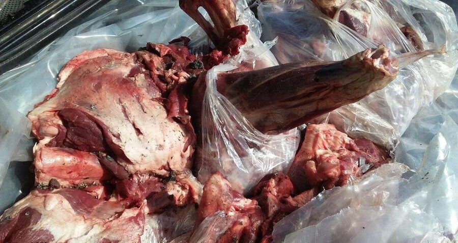 فروشنده گوشت الاغ در تبریز زندانی شد