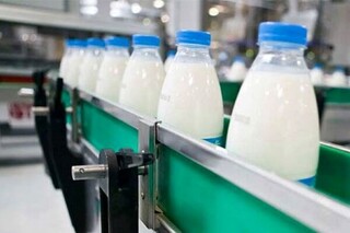 احتمال افزایش قیمت شیرخام در هفته آینده
