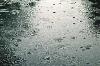 باران ۱۷ شهرستان خراسان رضوی را فراگرفت