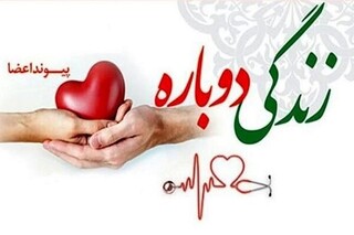 اهدا و پیوند اعضای ۹۸۶ بیمار مرگ مغزی در دانشگاه علوم پزشکی مشهد