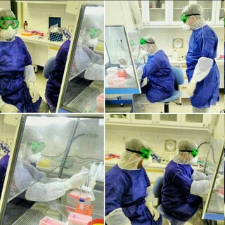افتتاح مرکز تشخیص ویروس کرونا توسط دانشگاه علوم پزشکی ارتش