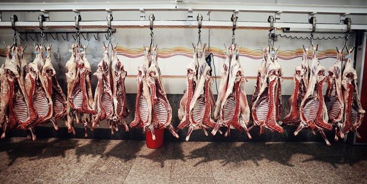 کاهش ۵۰ درصدی مصرف گوشت قرمز در کشور