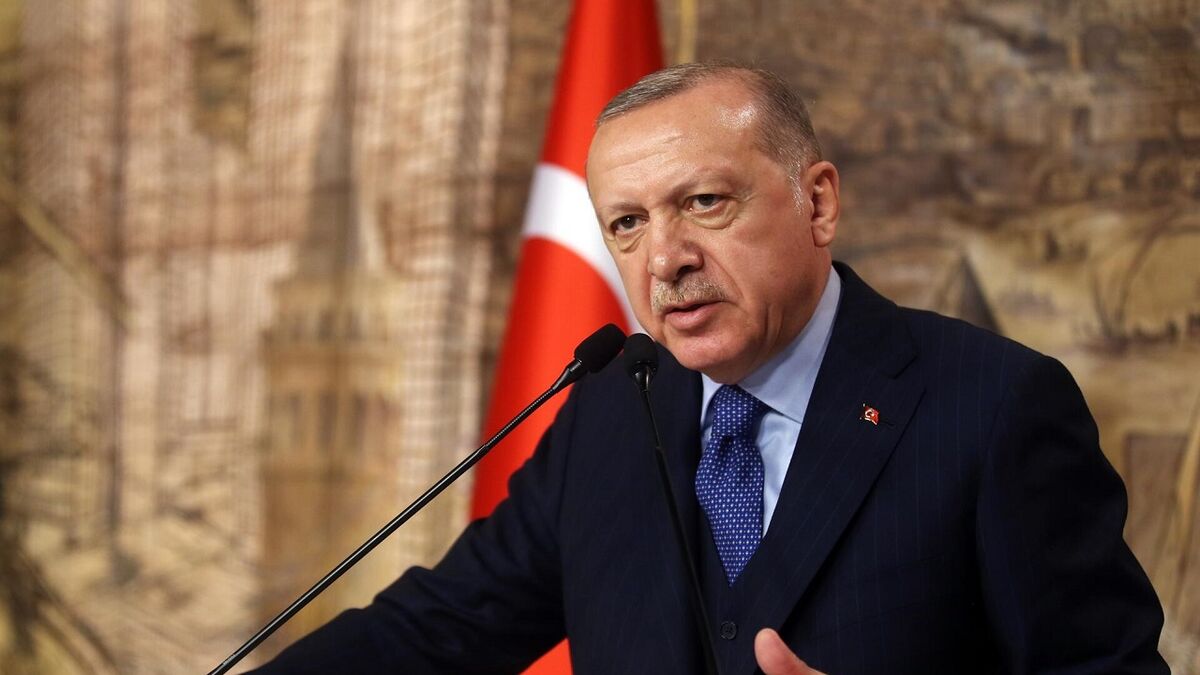 اردوغان: سازمان اطلاعات ترکیه قواعد بازی را در لیبی تغییر داد
