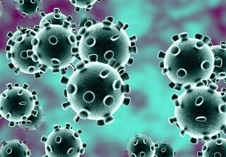 ۱۳۸ نفر در خراسان شمالی مبتلا به ویروس کرونا هستند