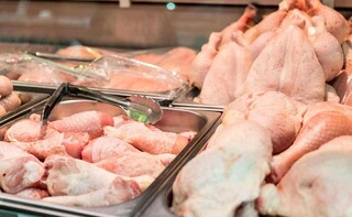 ۷۵۰ کیلو گوشت غیر بهداشتی در سبزوار کشف شد