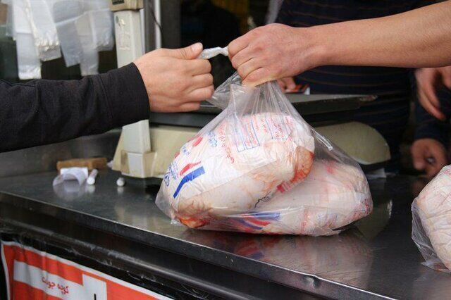 گران‌فروشی ۱۰۳ تن گوشت مرغ گرم در لرستان