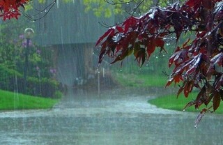 میانگین بارندگی در جنوب غرب خراسان رضوی افزایش یافته است
