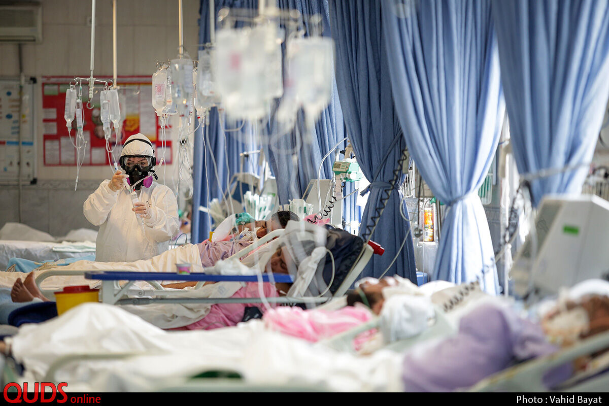بستری ۷۰۰ بیمار کرونایی در مراکز درمانی زیر پوشش دانشگاه علوم پزشکی مشهد