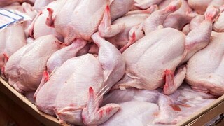 تولید ۹۸۰۰ تن گوشت مرغ در خراسان رضوی
