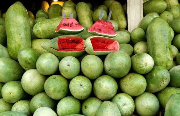 افزایش ۲۰ تا ۲۵ درصدی قیمت هندوانه
