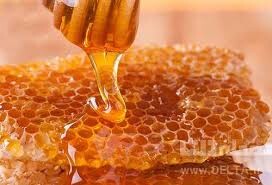 افزایش درآمد زنبورداران در گرو برندسازی عسل گیلان   