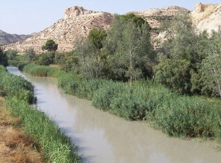 سالیانه ۱۰۰ میلیون متر مکعب آب از رودخانه‌های کلات وارد ترکمنستان می‌شود