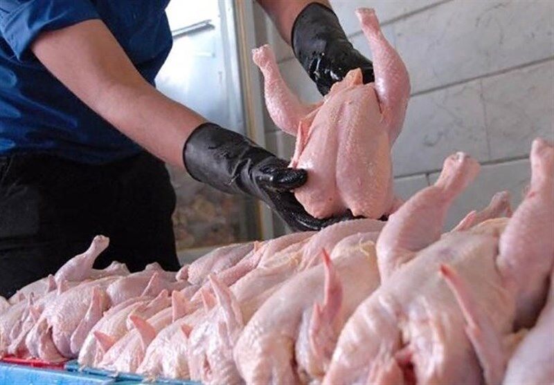 کرونا مصرف مرغ گیلان را ۳۰ درصد کاهش داد