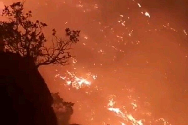 آتش سوزی در جنگل‌های گچساران مهار شد