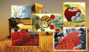 ۱۳۷ واحد صنایع تبدیلی غذایی در استان همدان در حال احداث است