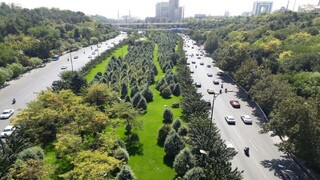 پایش درختان شهر مشهد با فناوری‌های نوین الکترونیکی