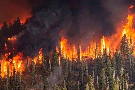 خطر آتش‌سوزی در جنگل‌های شمال بالاست