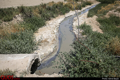 " هیاهو برای هیچ"