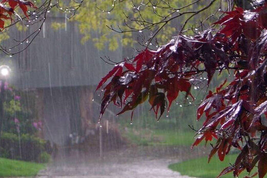 وضعیت هوای کشور|بارش باران و وزش باد شدید ۵ روزه در ۱۹ استان 